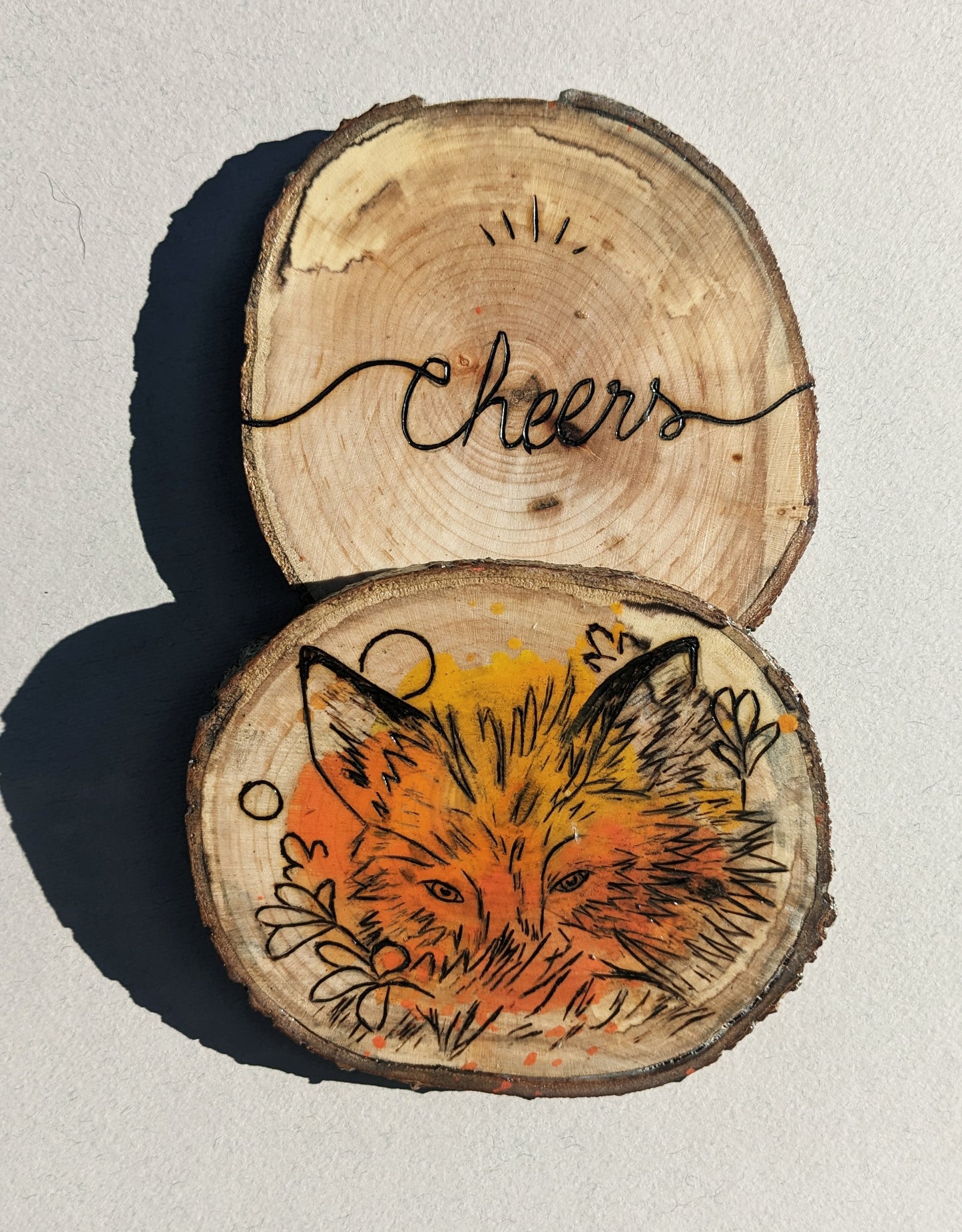 Foxes coaster
