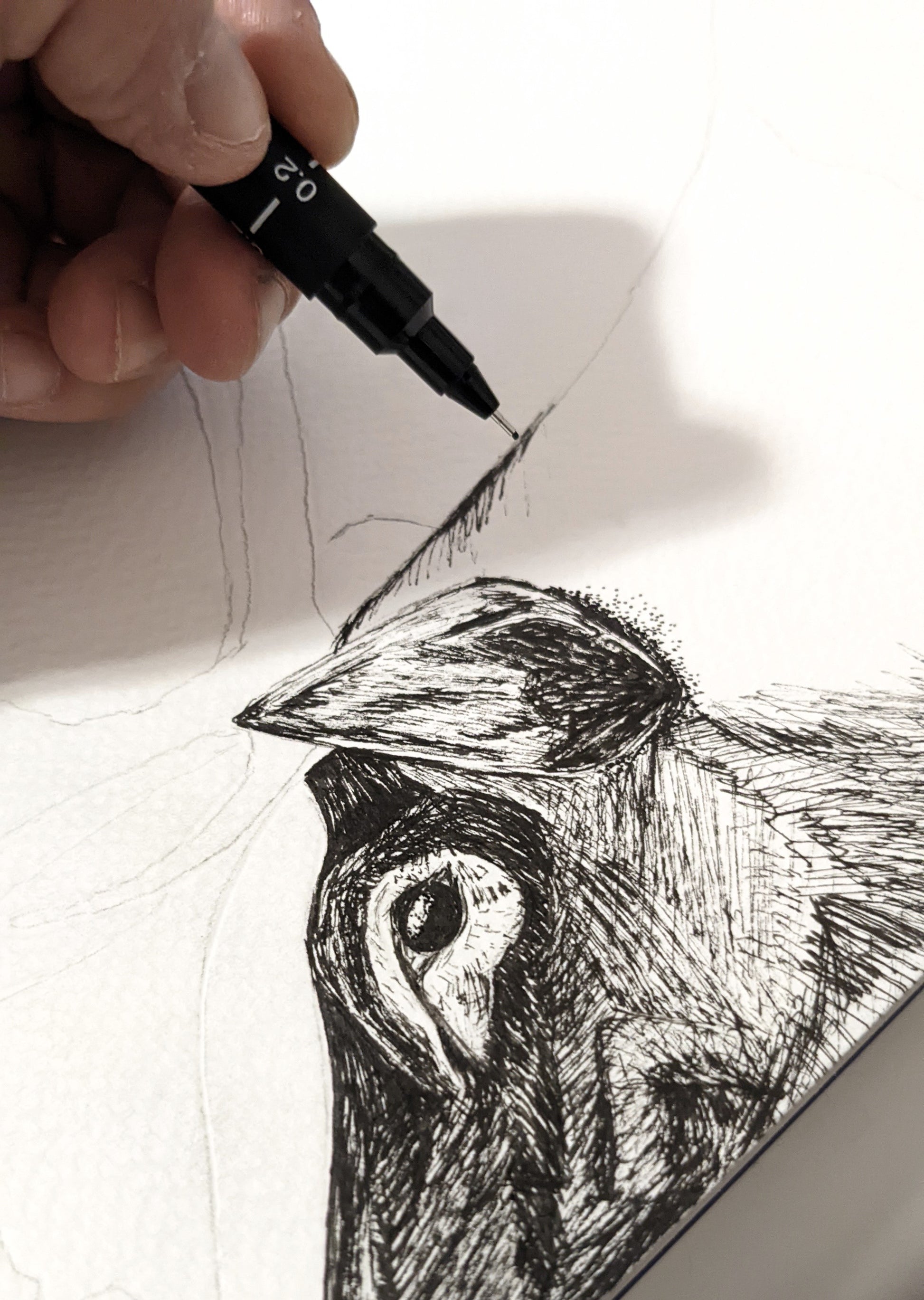 Moose and a tit illustration using ink and watercolor, no color added yet.