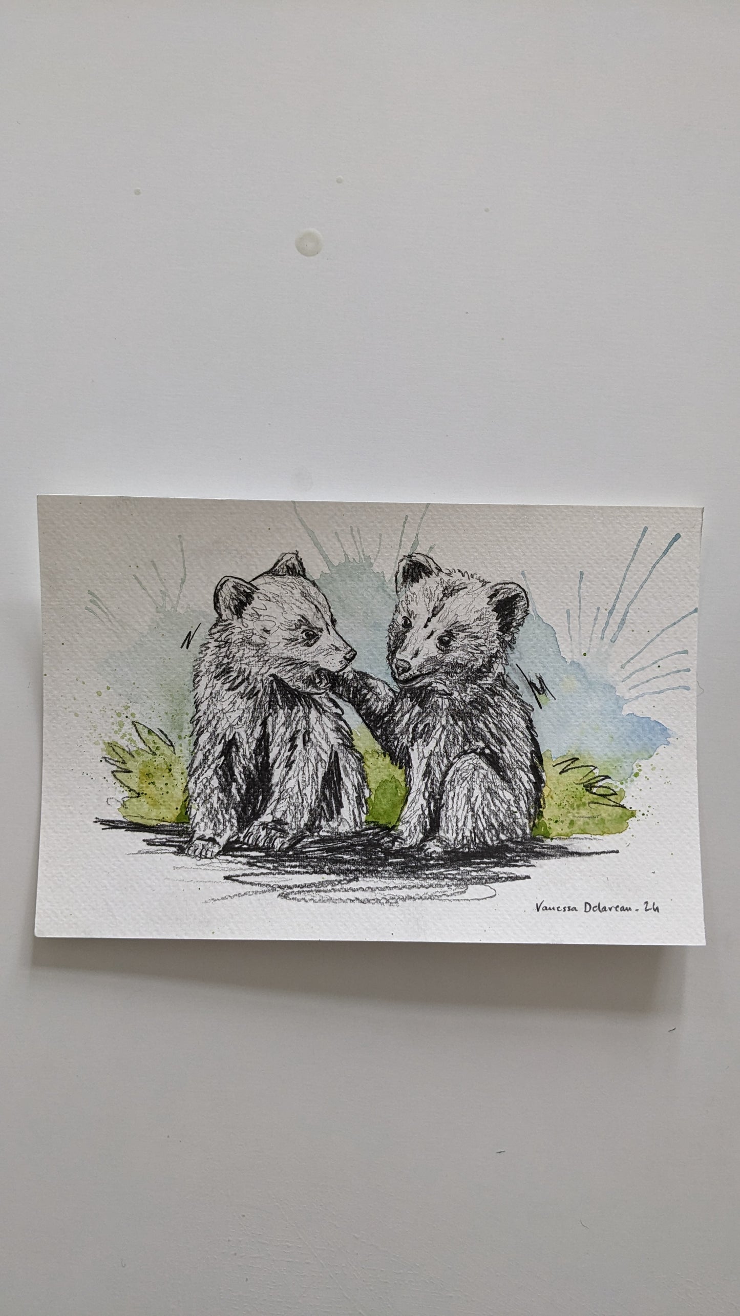 Bear cubs