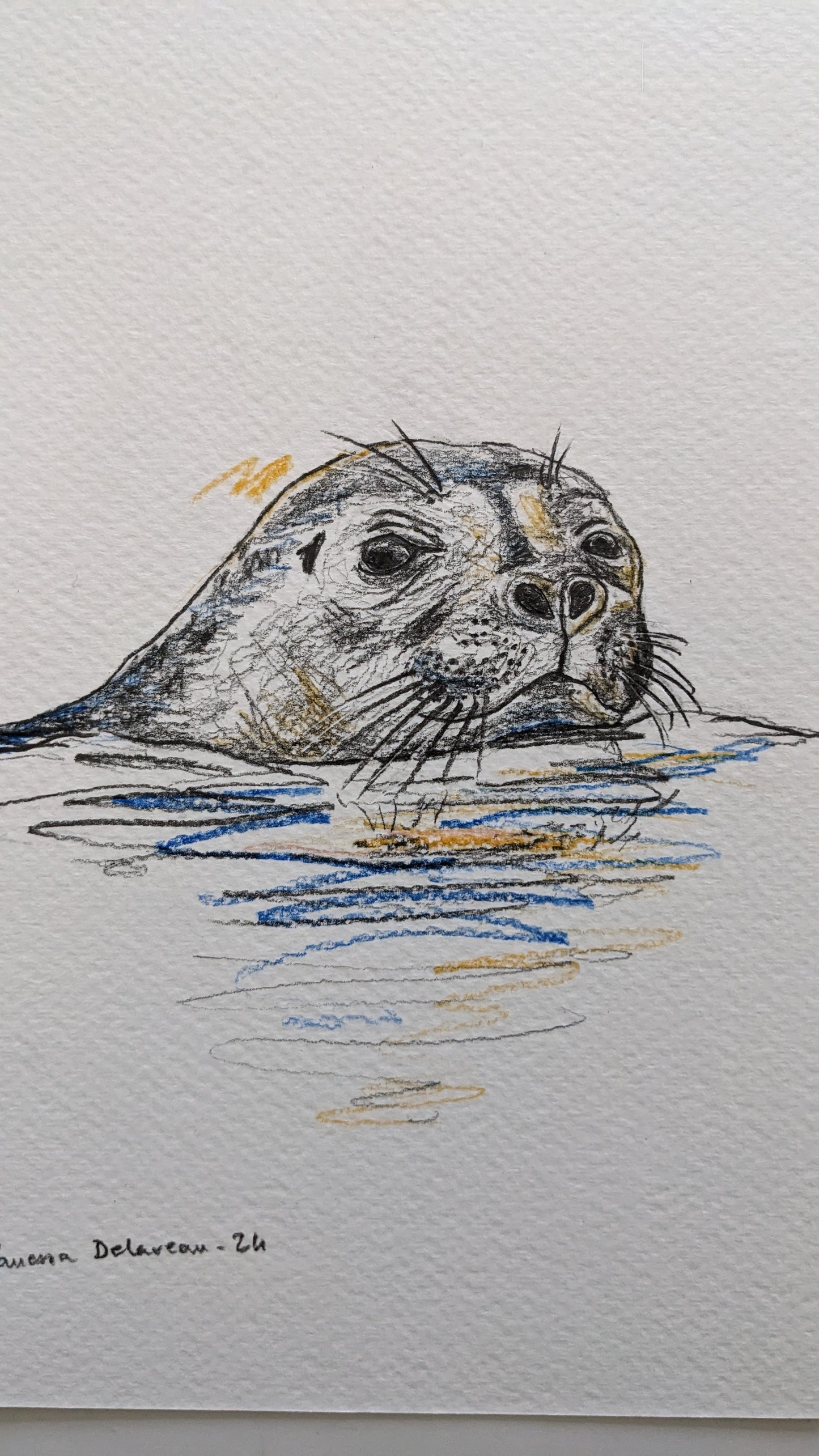 Seal