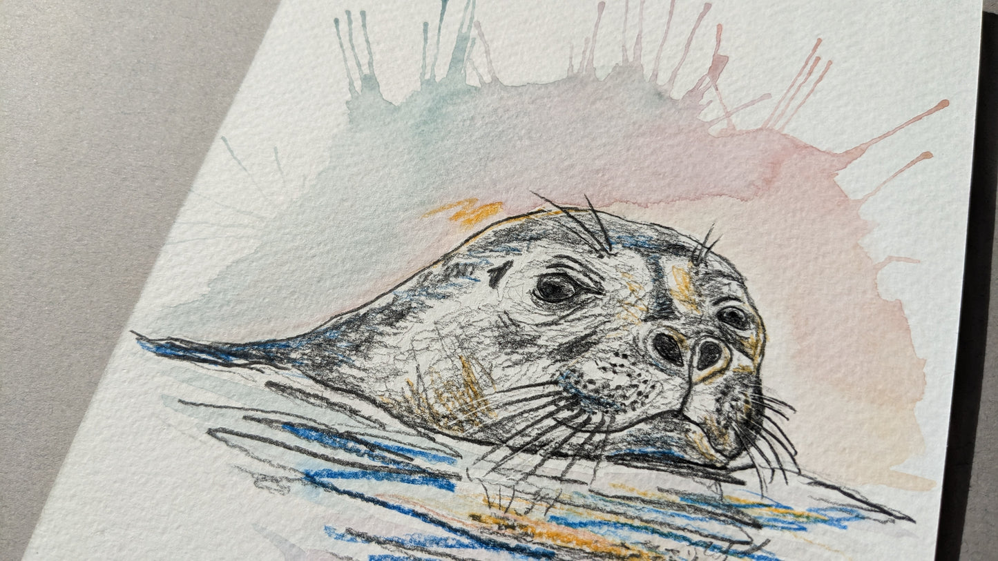 Seal