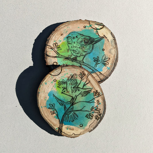 Birds coaster