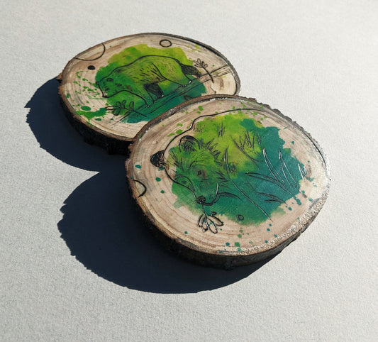 Bears 2 coaster