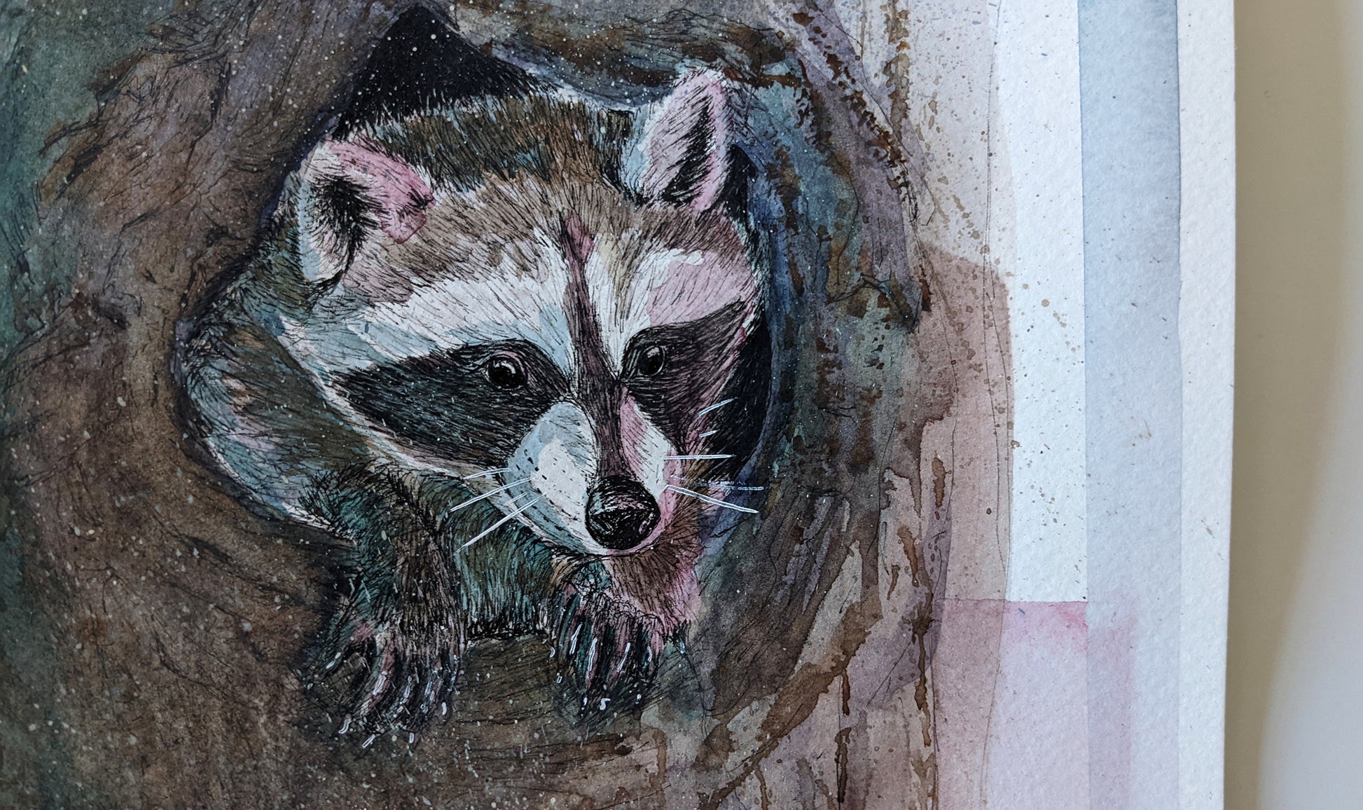 Raccoon Illustration within a tree, using brown watercolor and hints of blue and pink.