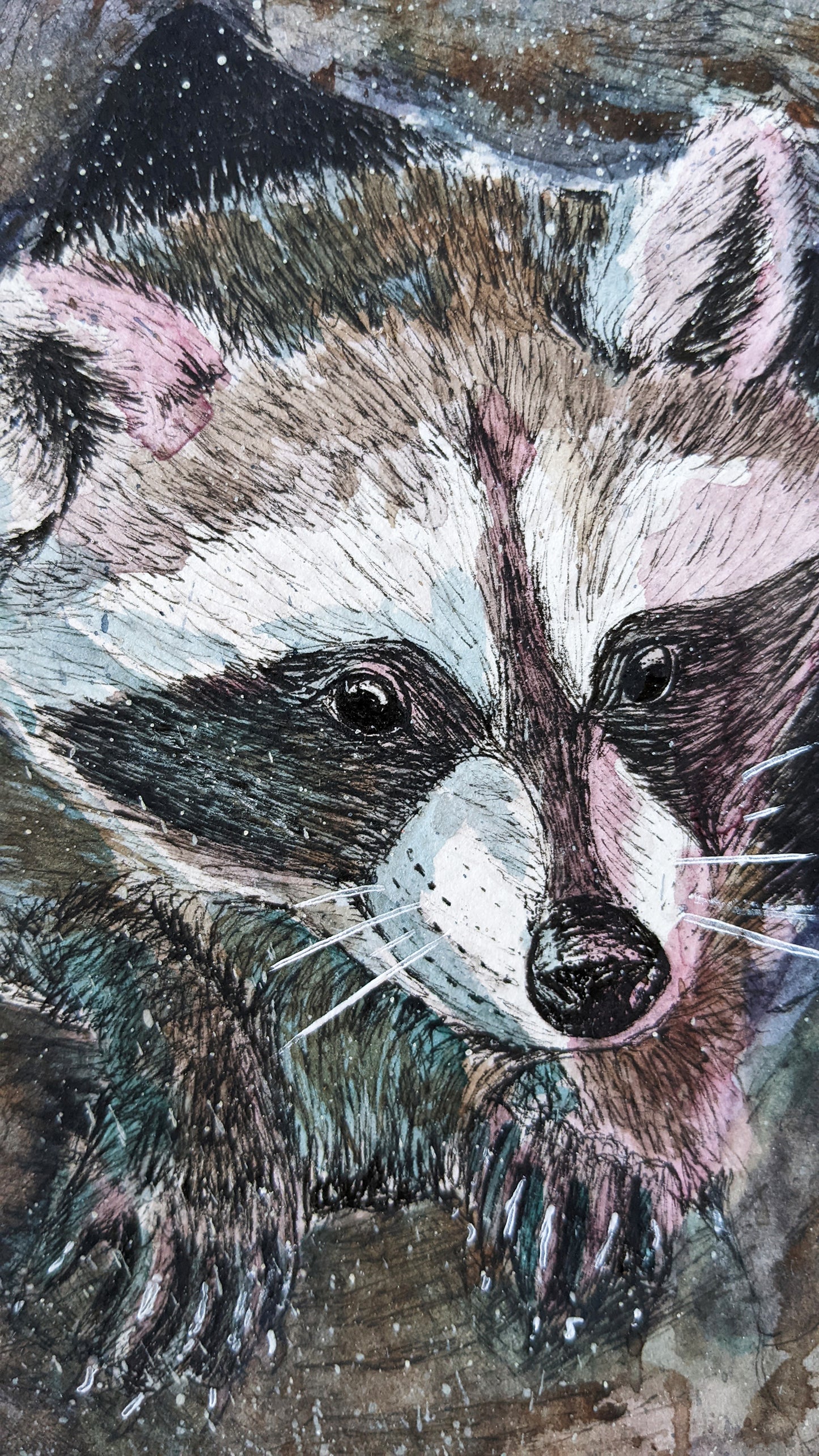 Raccoon Illustration within a tree, using brown watercolor and hints of blue and pink.