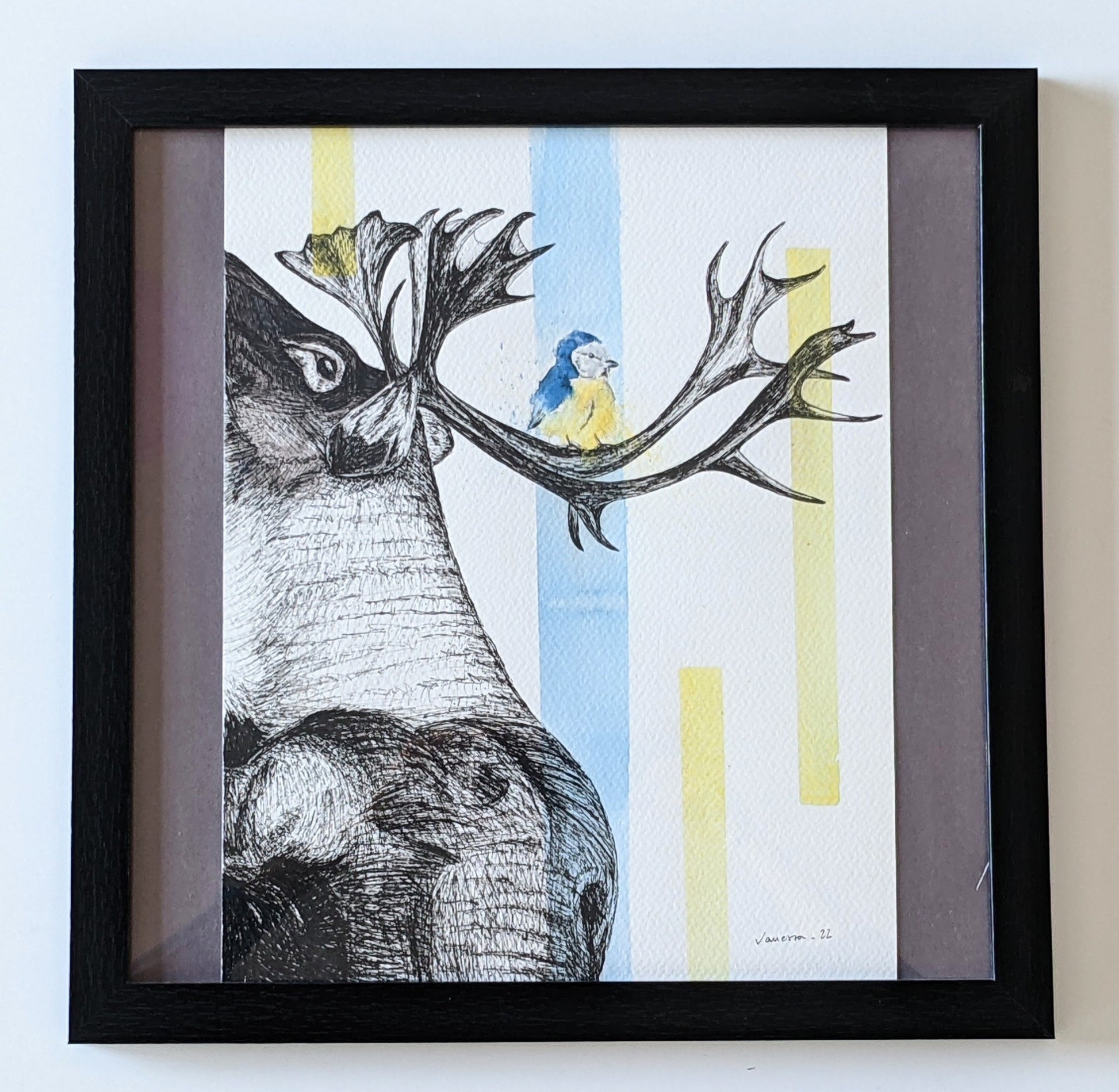 Moose and a tit illustration using ink and watercolor, and using hints of blue of yellow in accents. Framed.